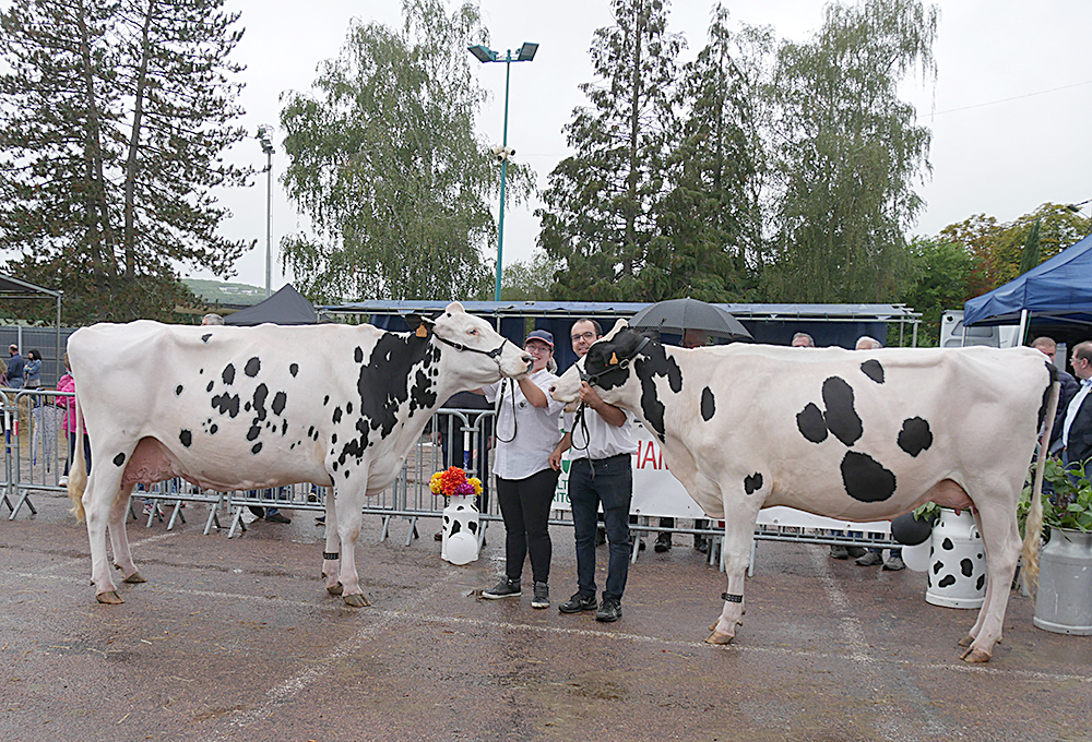 Concours départemental Prim’Holstein Un beau palmarès à Figeac
