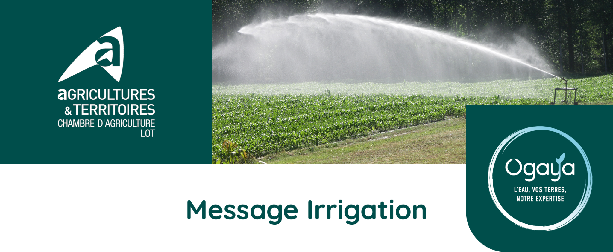 Message Irrigation