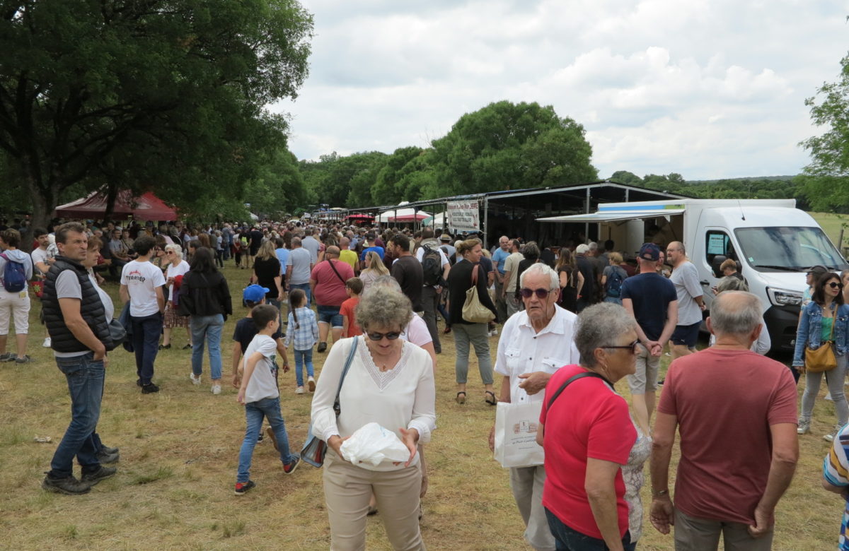 Fête des Fromages et du Rocamadour AOP ce dimanche 8 juin !