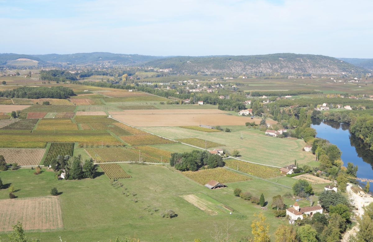 Lot : 1,7 M€ d’aides régionales pour 291 exploitations agricoles