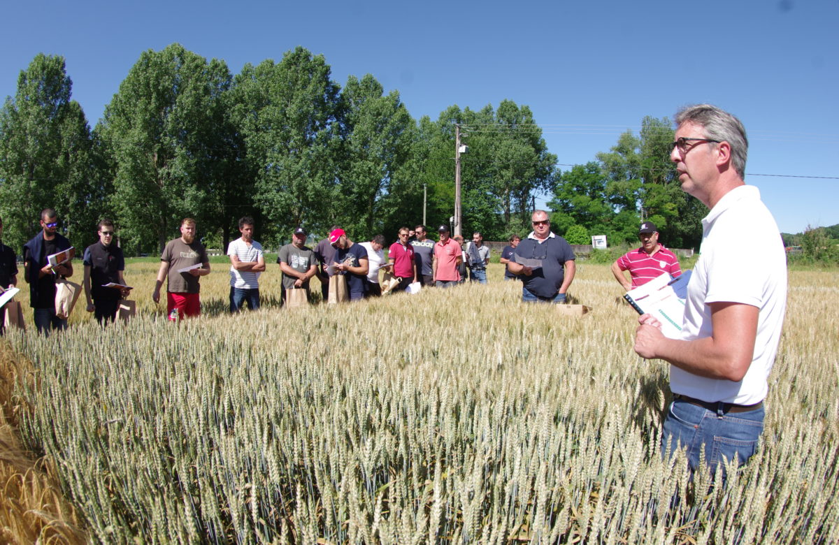Coopérative Capel : Les producteurs visitent la vitrine céréales à paille à Lauzerte
