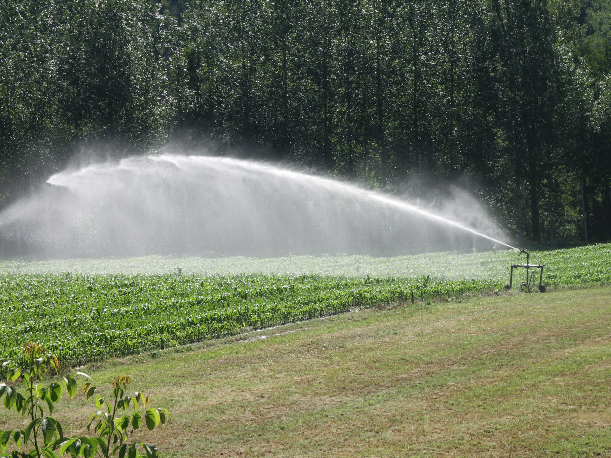 Guide pour accompagner les agriculteurs dans la création de leurs projets d’irrigation