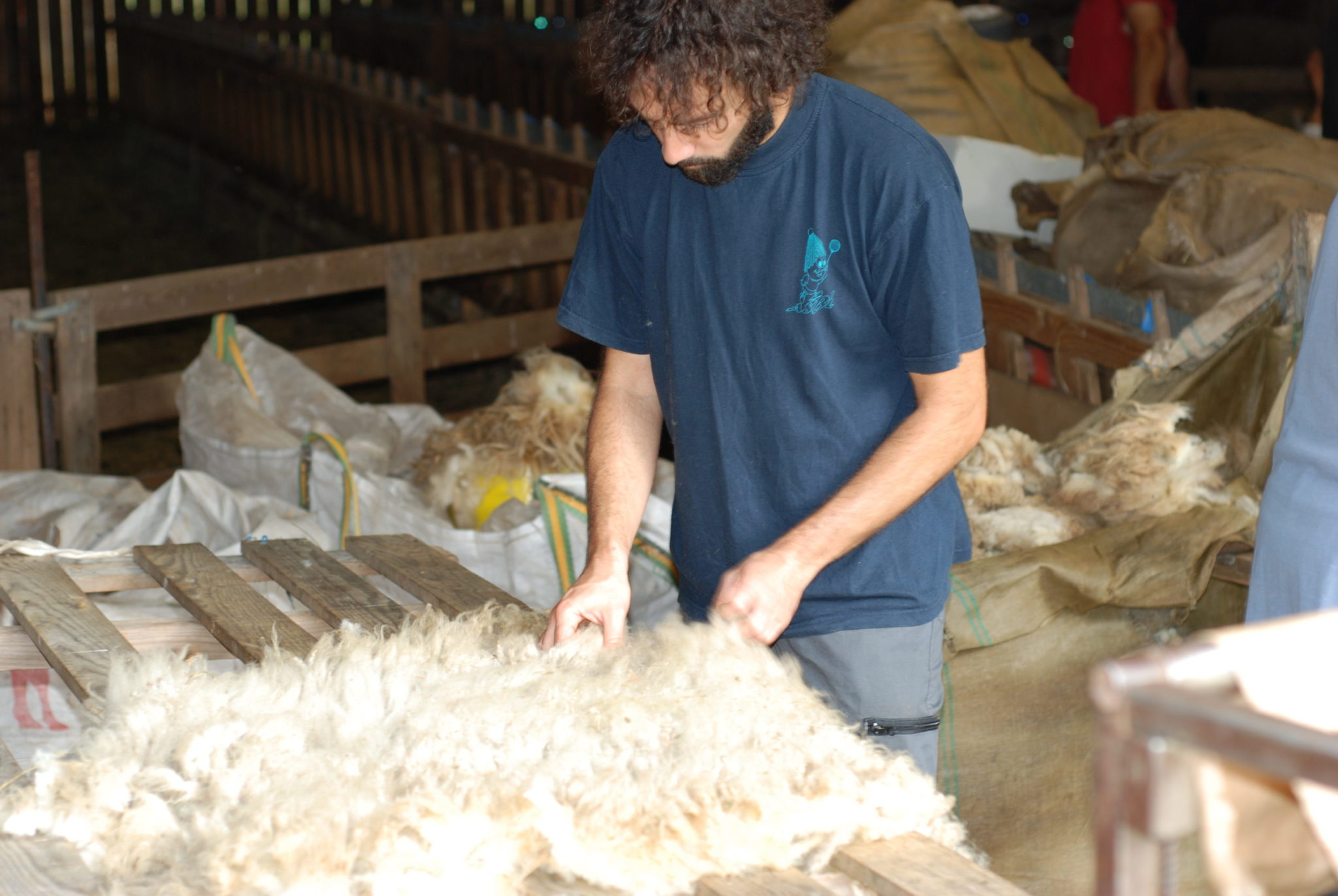 Une formation pour valoriser la laine
