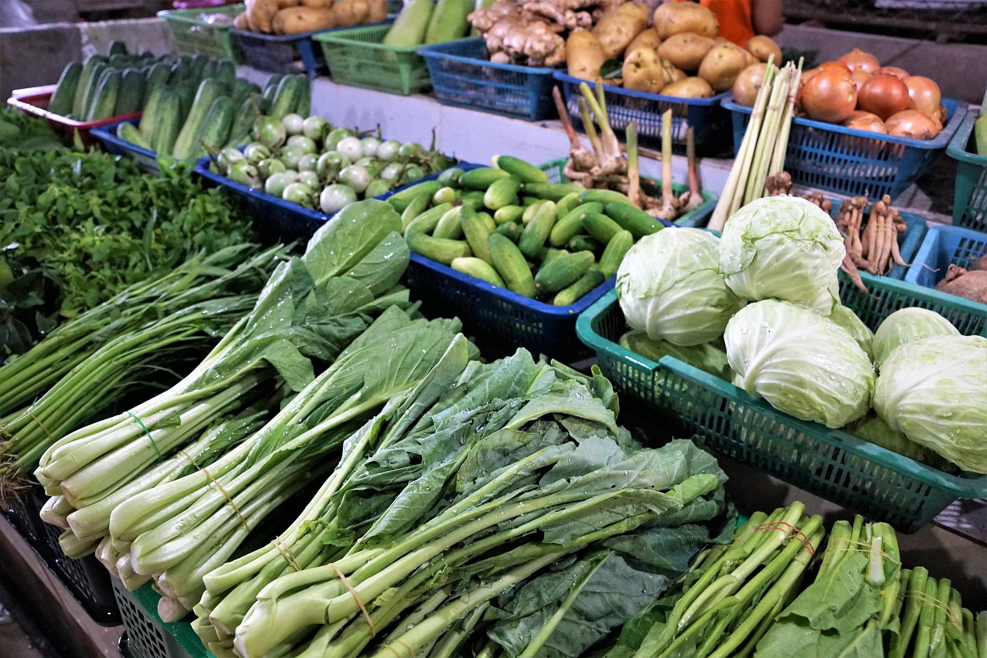 « Souveraineté alimentaire : les légumes dans tous leurs états » avec les élus de la MSA MPN
