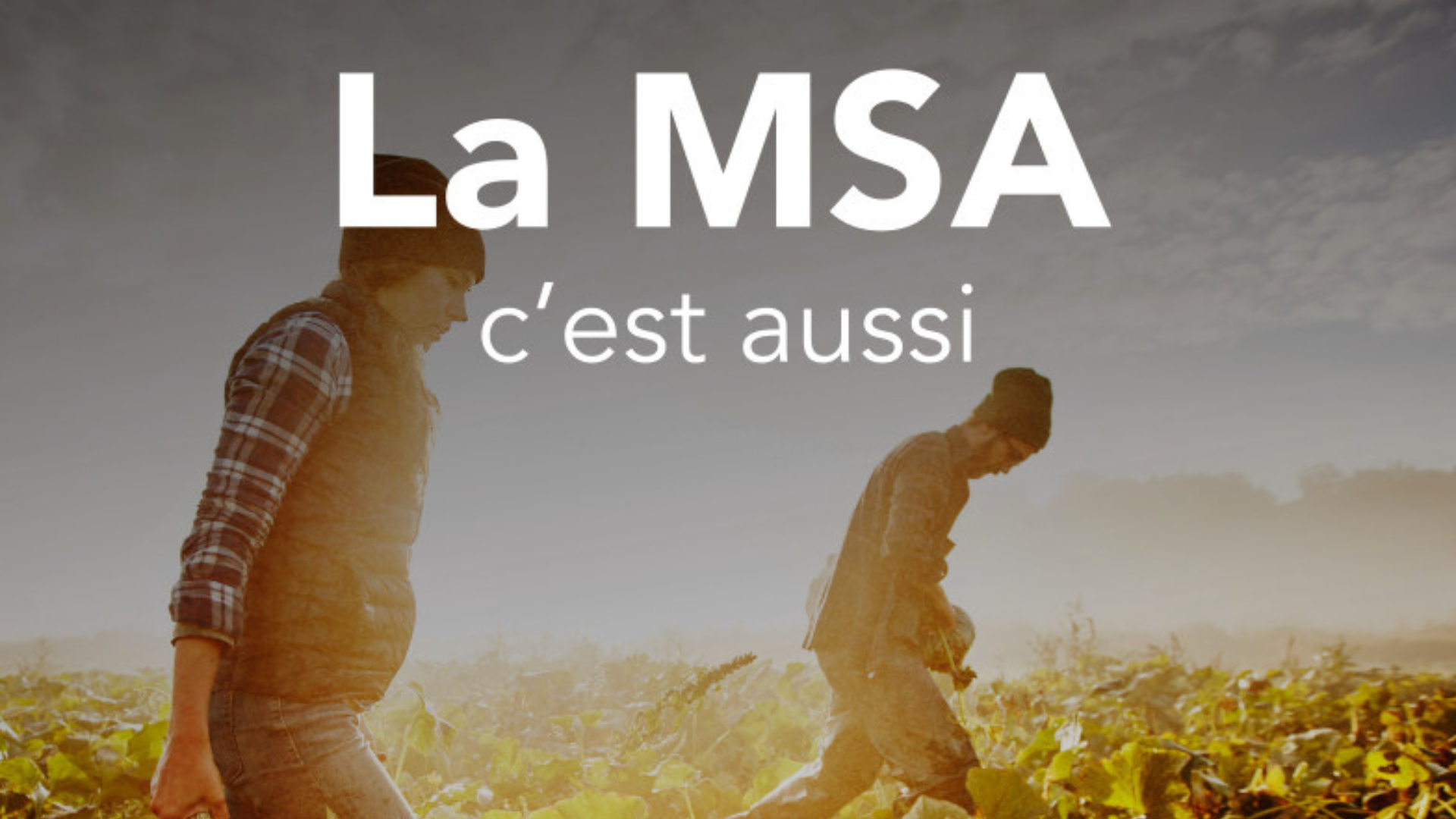 Demander une aide au logement auprès de la MSA, un service en ligne « tout en un » !