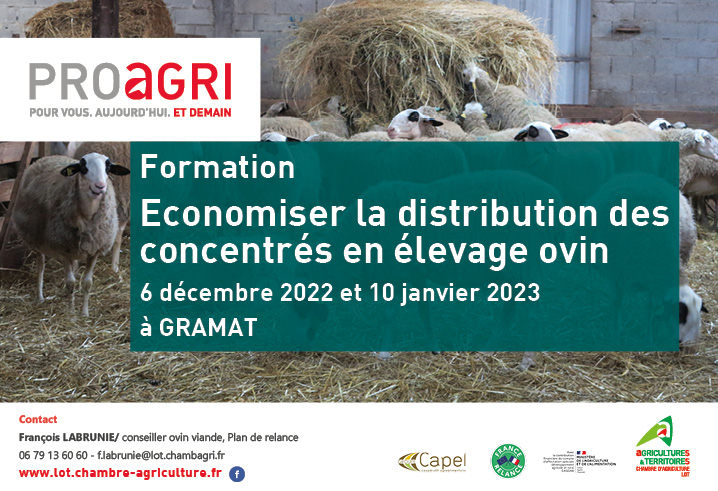 Formation : Economiser la distribution des concentrés en élevage ovin
