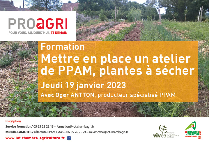 Formation : mettre en place un atelier de PPAM, plantes à sécher le 19 janvier