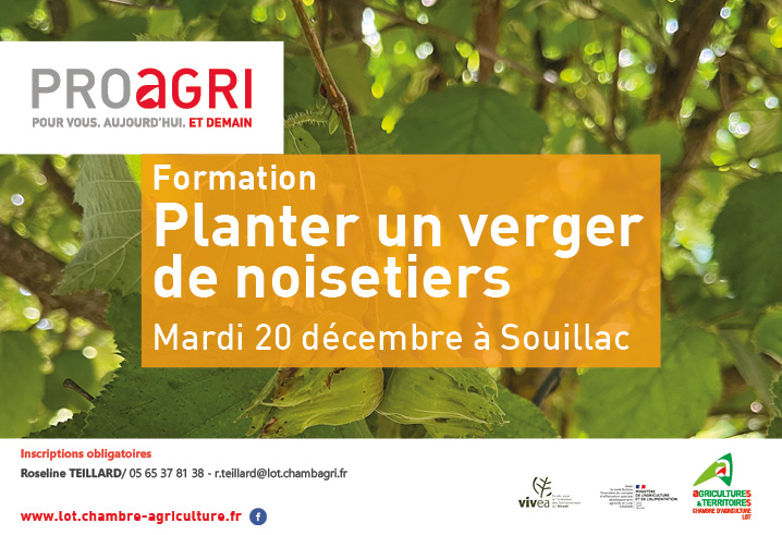 Formation : « Planter un verger de noisetiers » le mardi 20 décembre à la Chambre d’agriculture de Souillac.