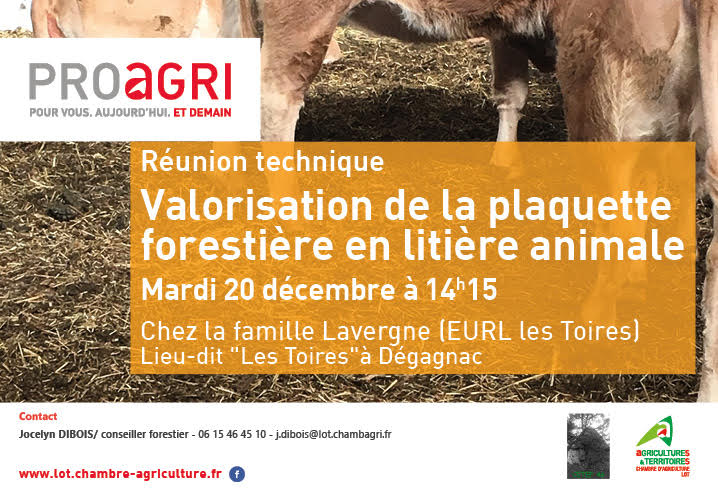 Réunion Technique : Valorisation de la plaquette forestière en litière animale
