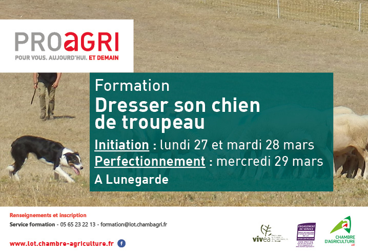 Formation : « Dresser son chien de troupeaux » à Lunegarde, les 27, 28 et 29 mars.