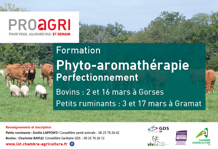 Formation : « Phyto-aromathérapie – Perfectionnement »