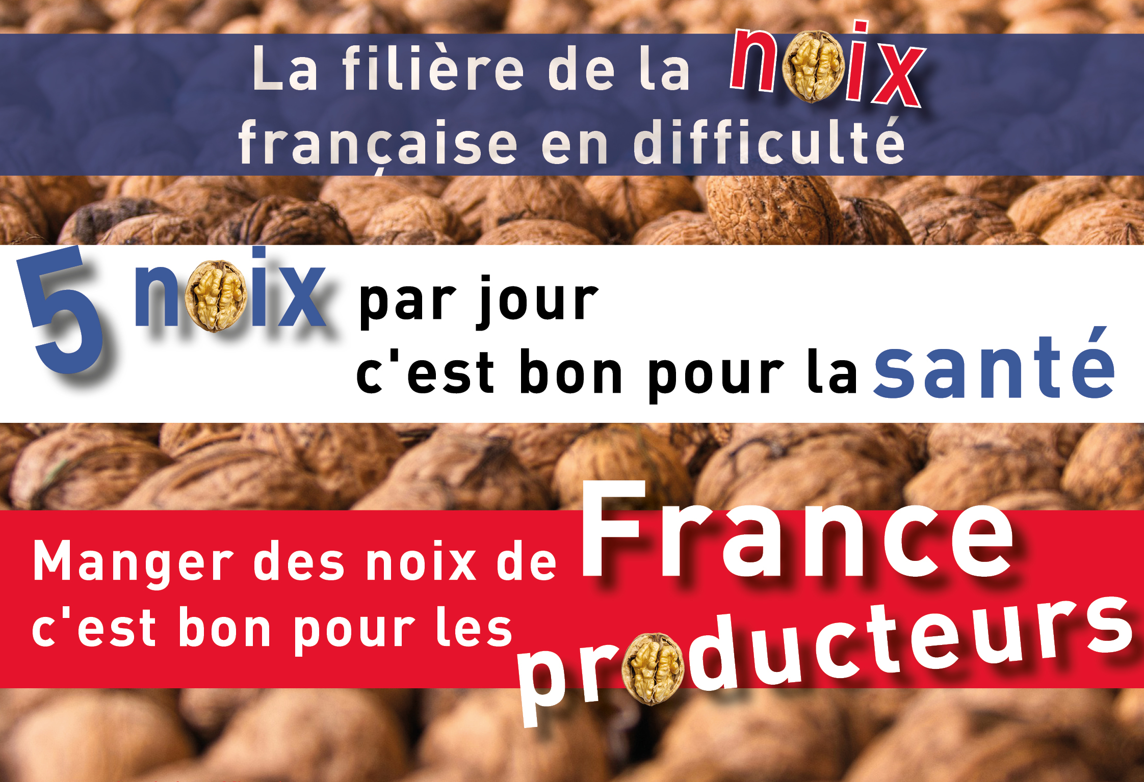 Soutenons la filière noix française : consommons local et préservons notre santé !