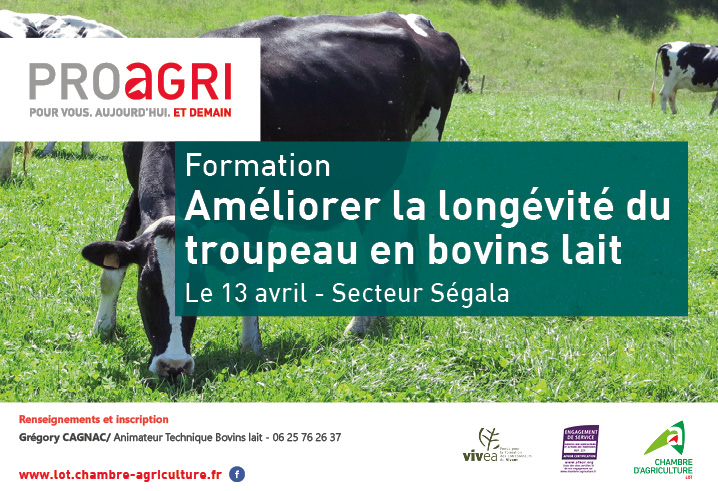 Formation : « Améliorer la longévité des troupeaux en bovins lait » le 13 avril, secteur Ségala.