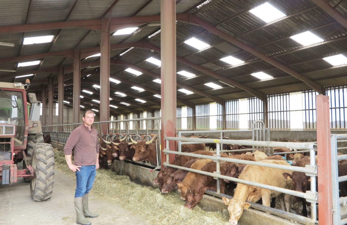 Bâtiments agricoles Mambert : Un système de ventilation confortable pour les animaux