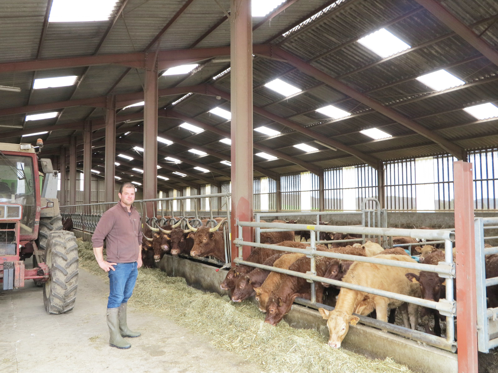 Bâtiments agricoles Mambert : Un système de ventilation confortable pour les animaux