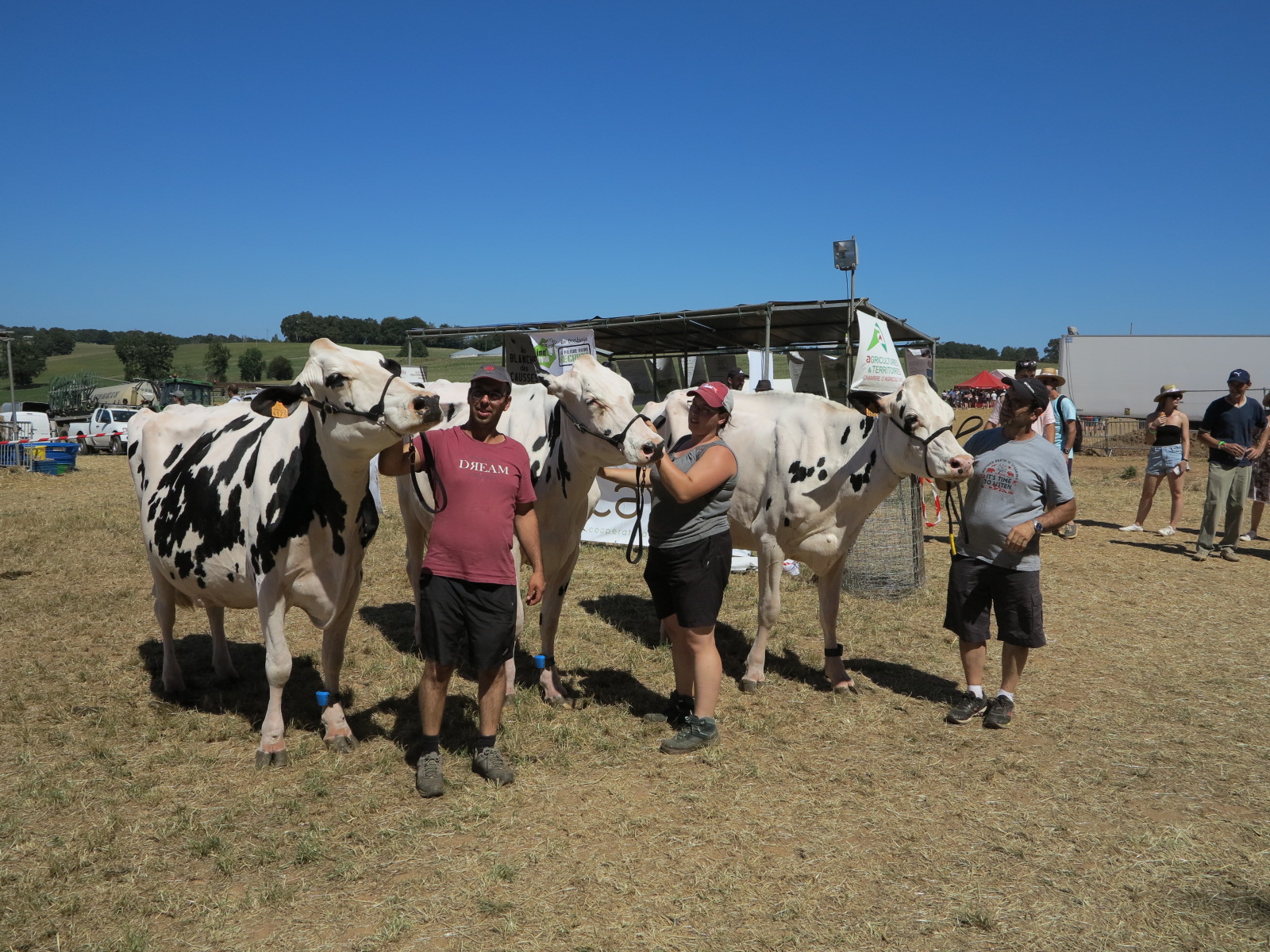 Résultats : Concours Prim’Holstein