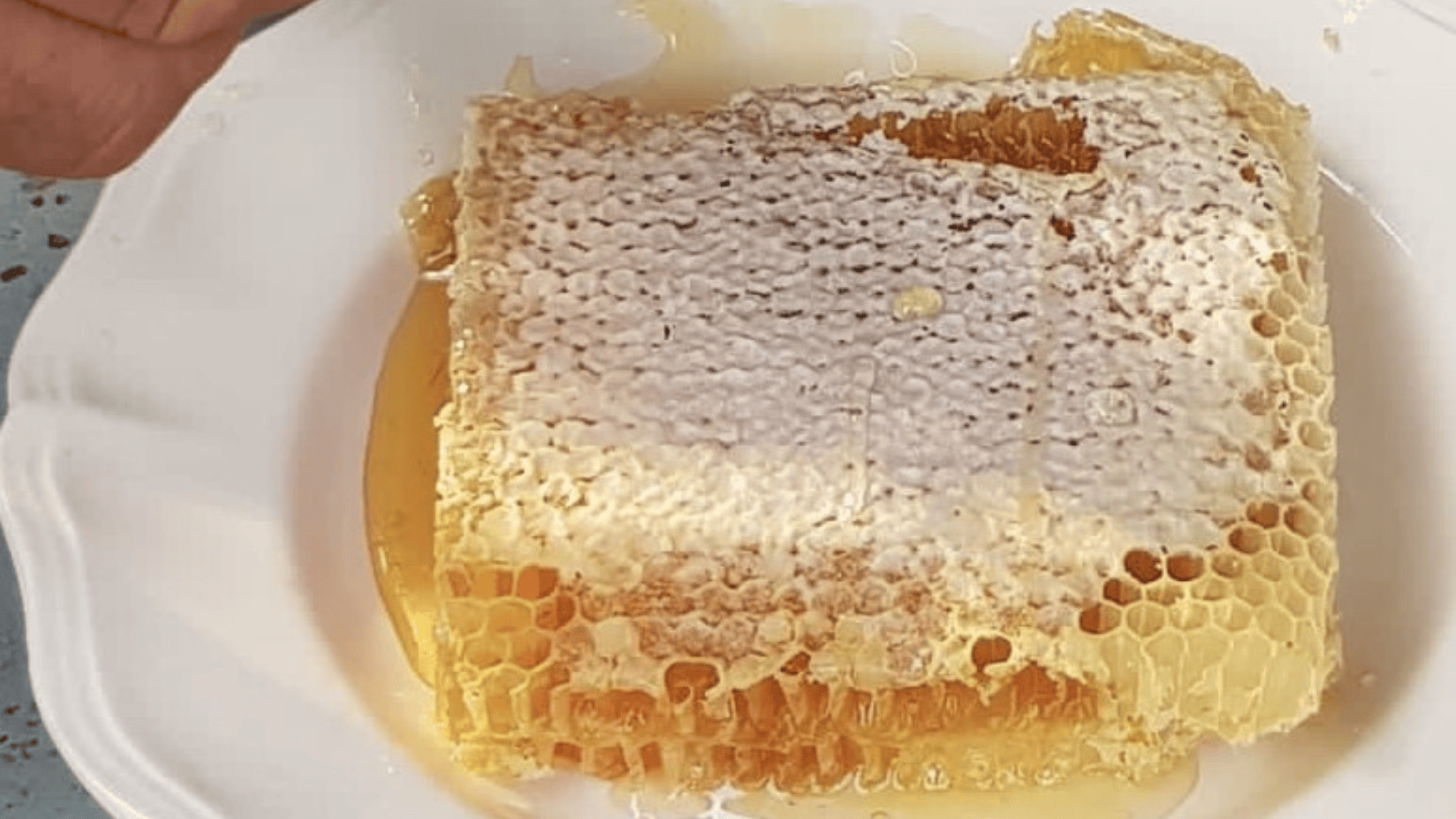Crise sur le miel : la FNSEA interpelle les pouvoirs publics