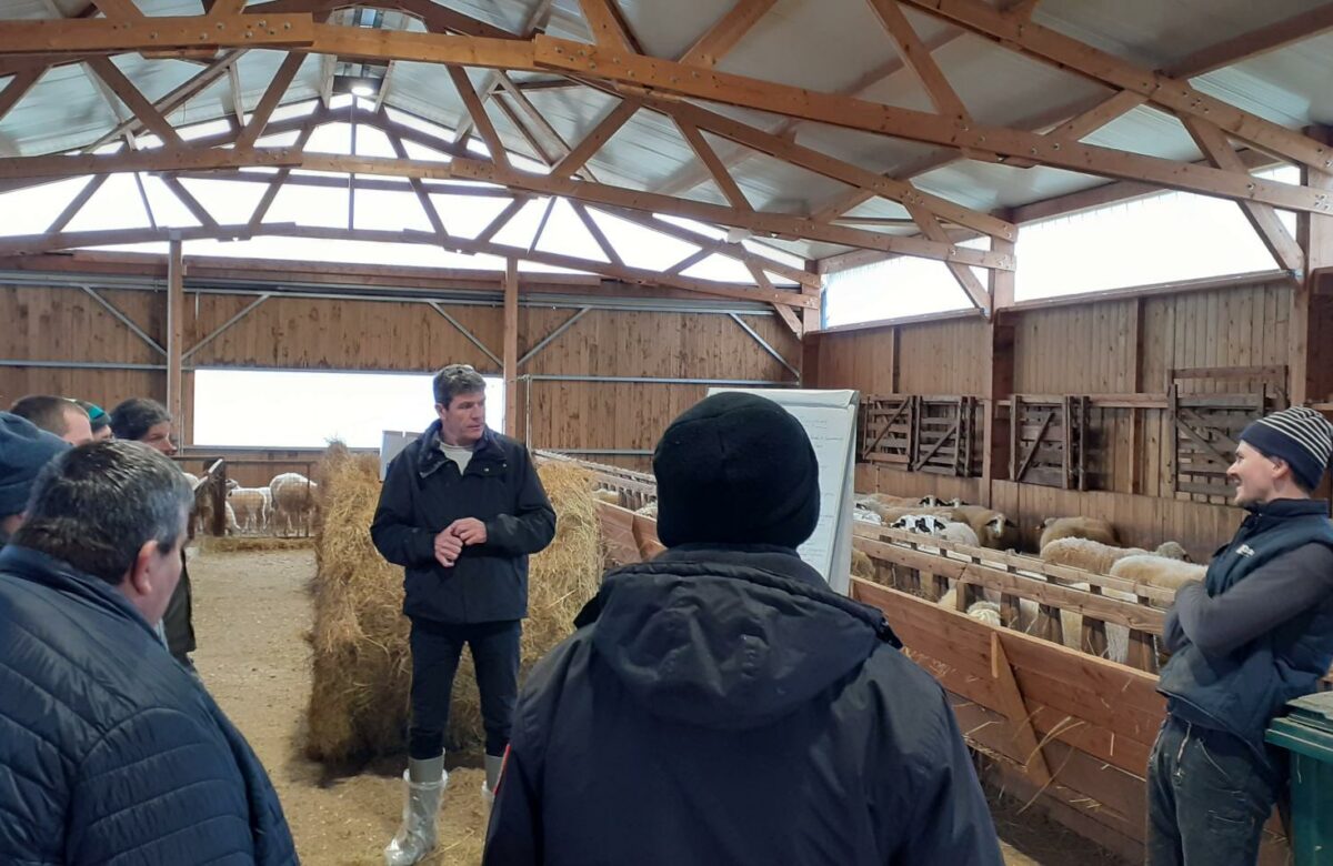 Bio | La conversion d’un élevage en bio : Retour sur la deuxième journée de formation à Concots