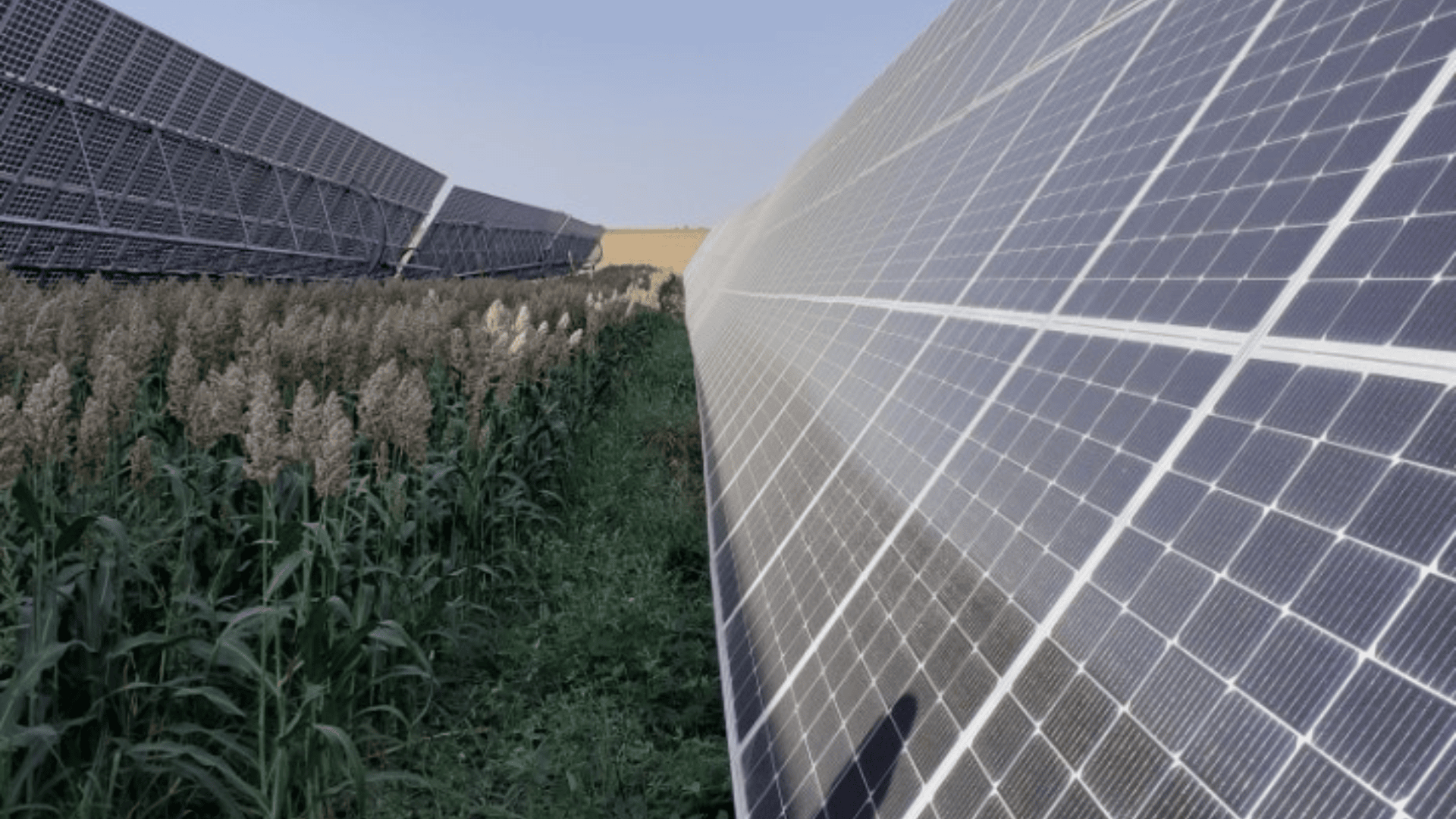 Innov’Action : 1er Salon de l’énergie solaire en agriculture le 20 février à Gramat