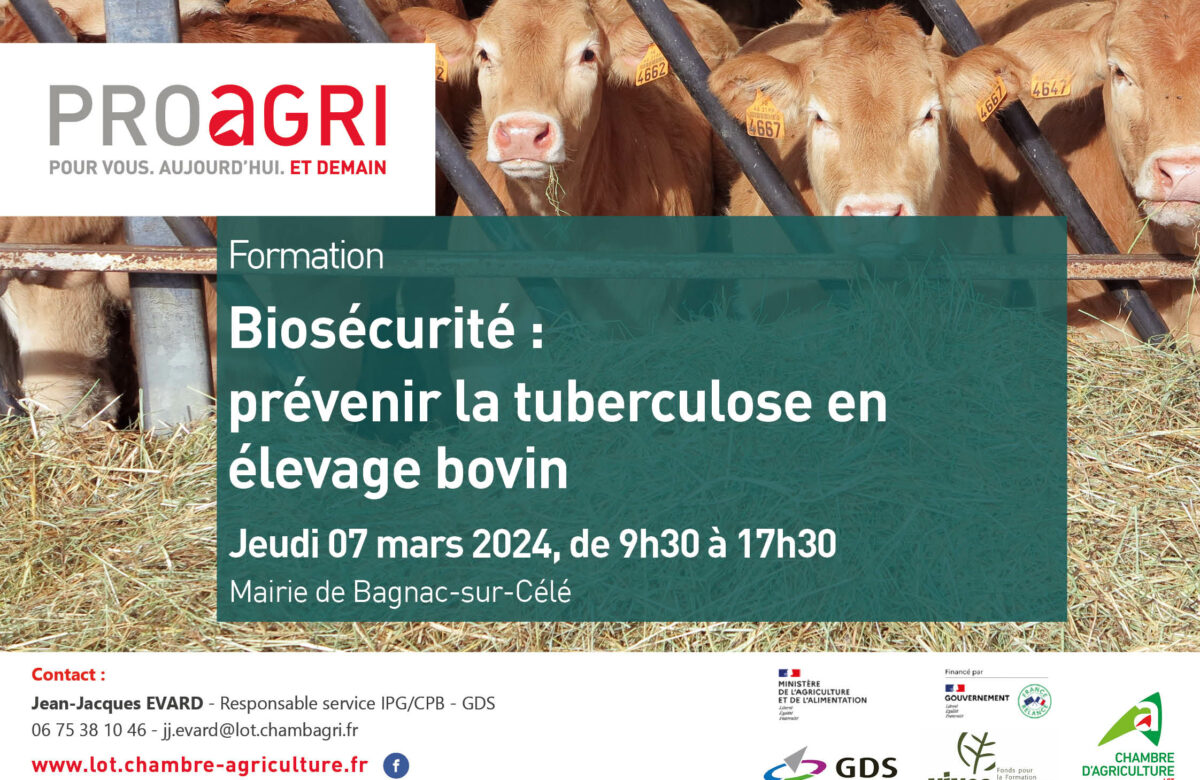 [FORMATION] Prévenir la tuberculose en élevage bovin