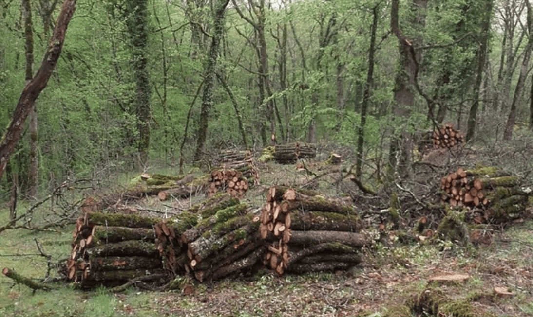 Démonstration : Valorisation du bois de ferme le 7 mars à Lauzès