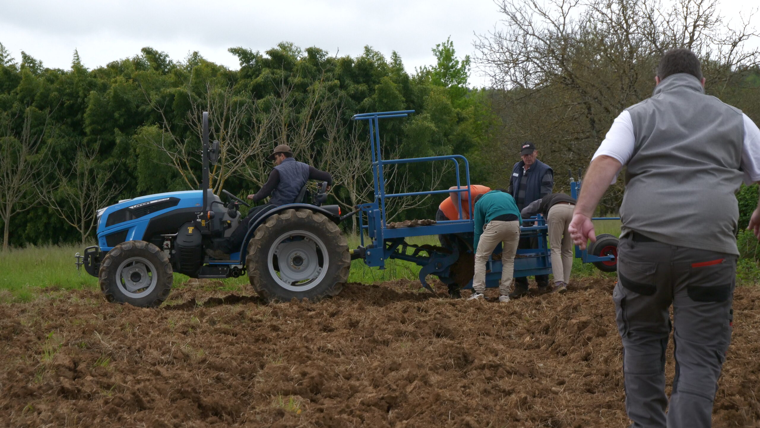 Dordogne : 7 ha de bambou plantés avec Horizom