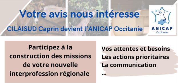 Participez à l’enquête pour la structuration de la nouvelle interprofession caprine : ANICAP Occitanie !