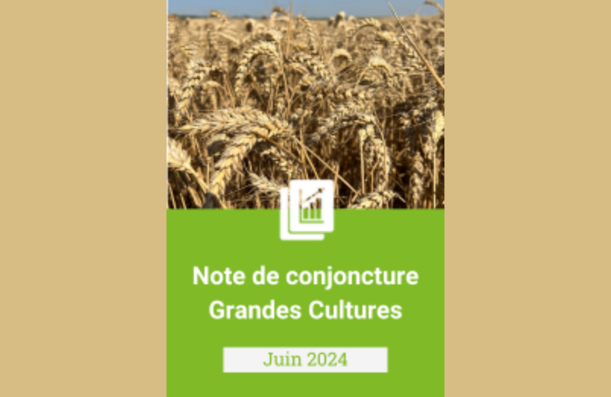 Note de conjoncture – Grandes Cultures 2024