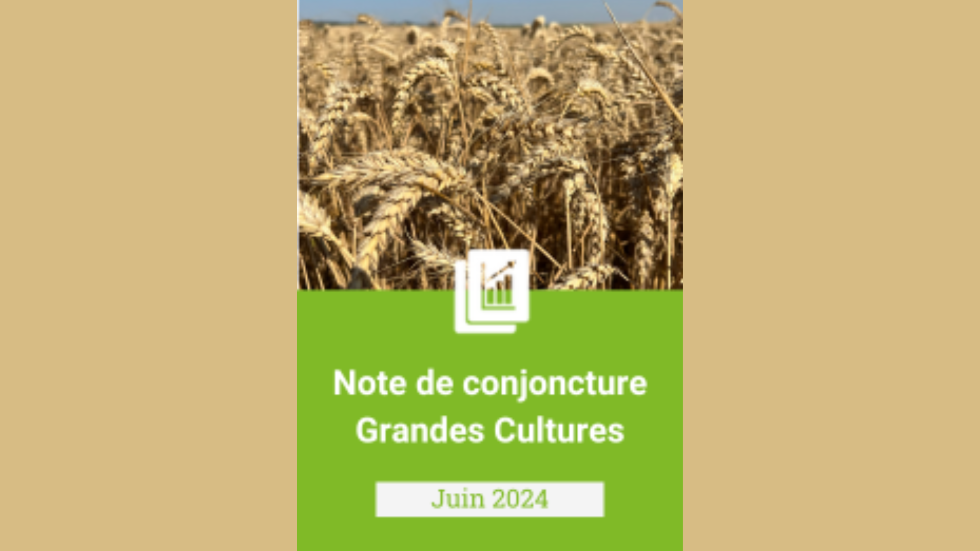 Note de conjoncture – Grandes Cultures 2024