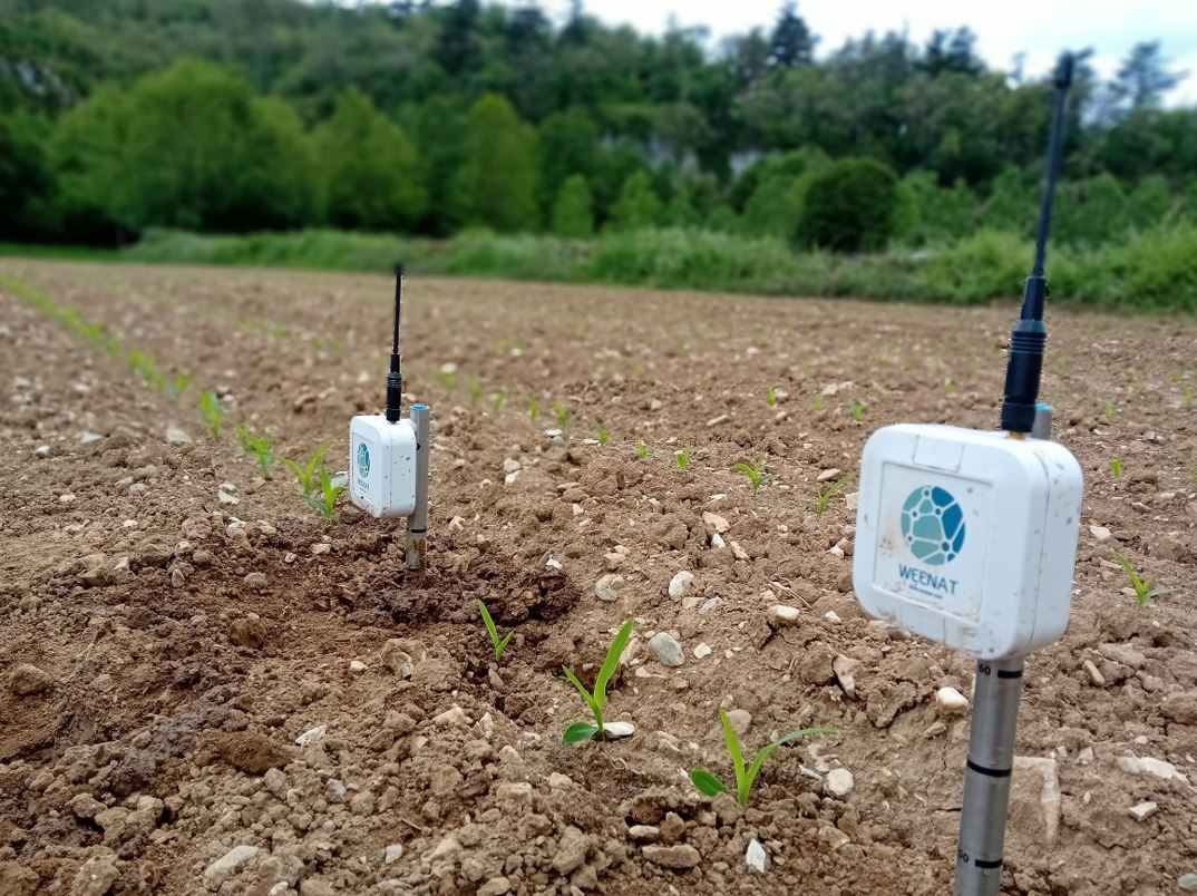 Pilotage de l’irrigation dans le Lot