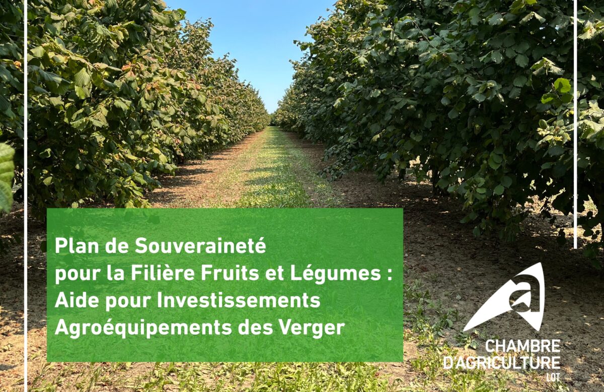 Nouvelle Aide pour les Vergers : 7,7 Millions d'Euros pour des Agroéquipements Écologiques