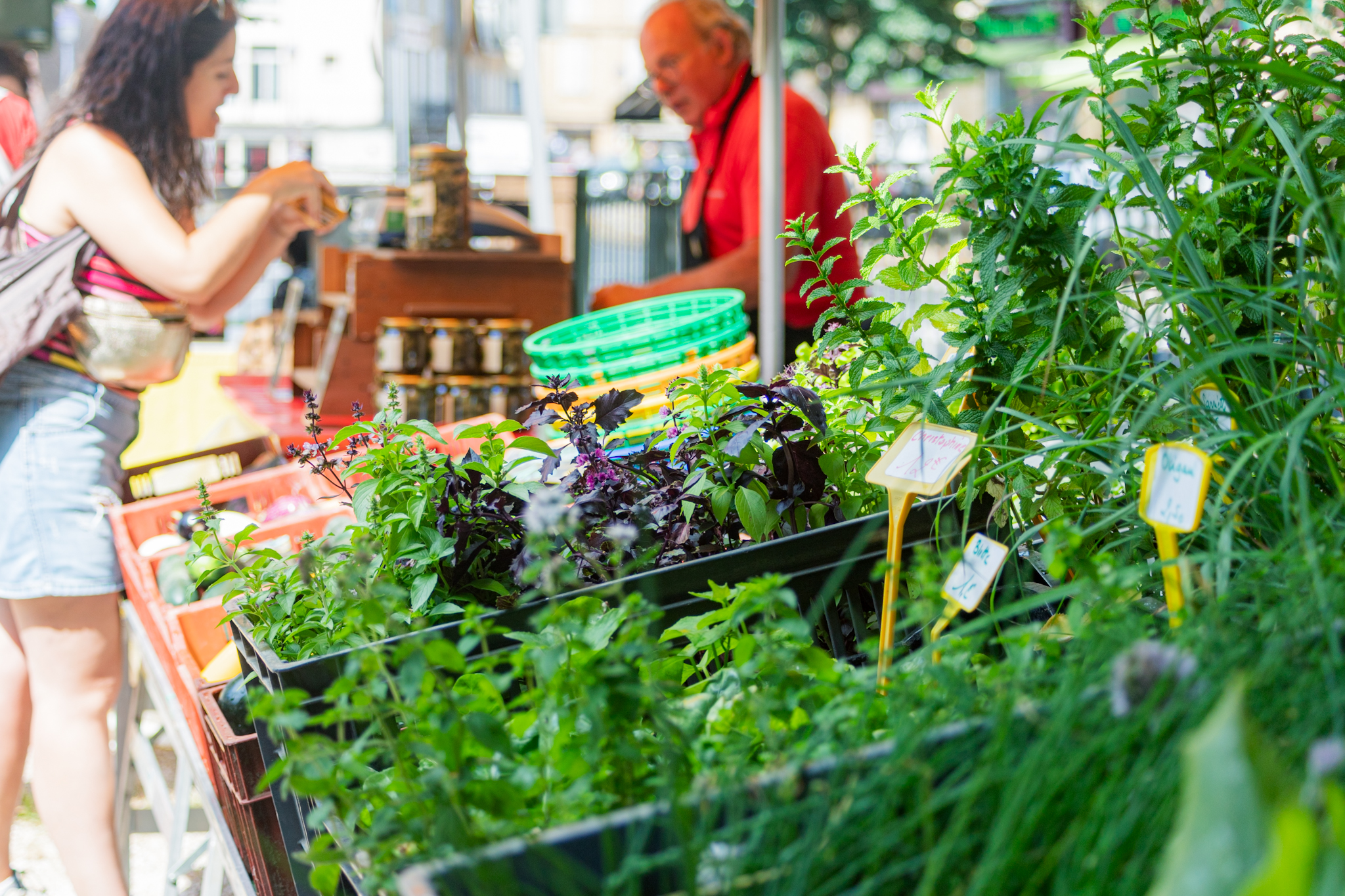 Les Producteurs des Marchés des Producteurs de Pays : Rencontres à Gourdon