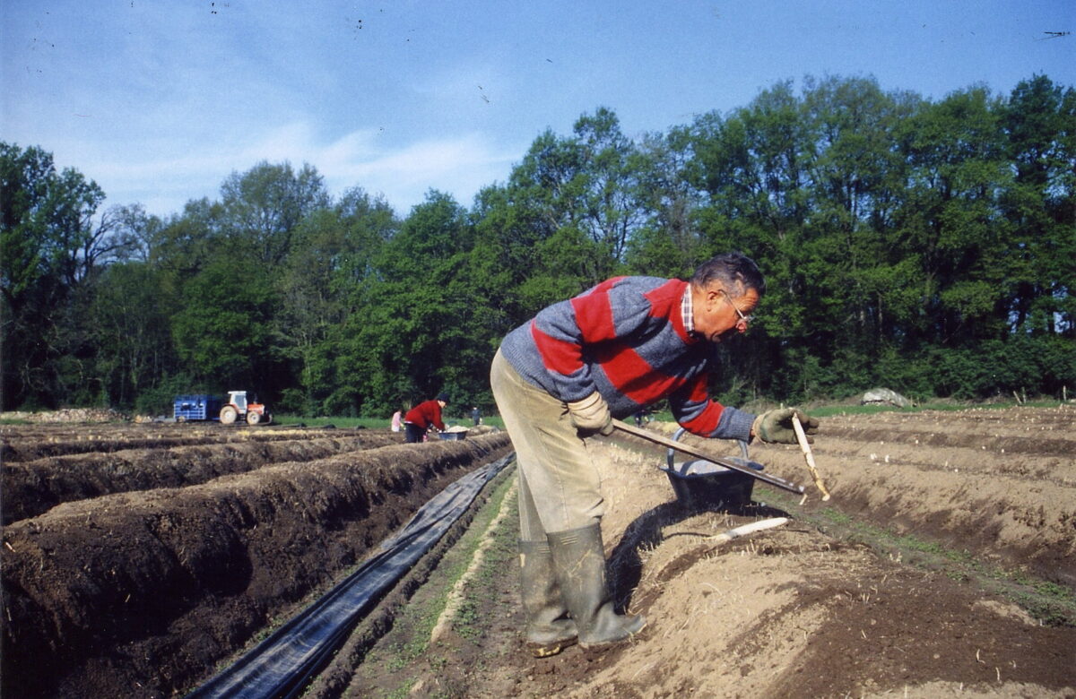 travail, main d'oeuvre