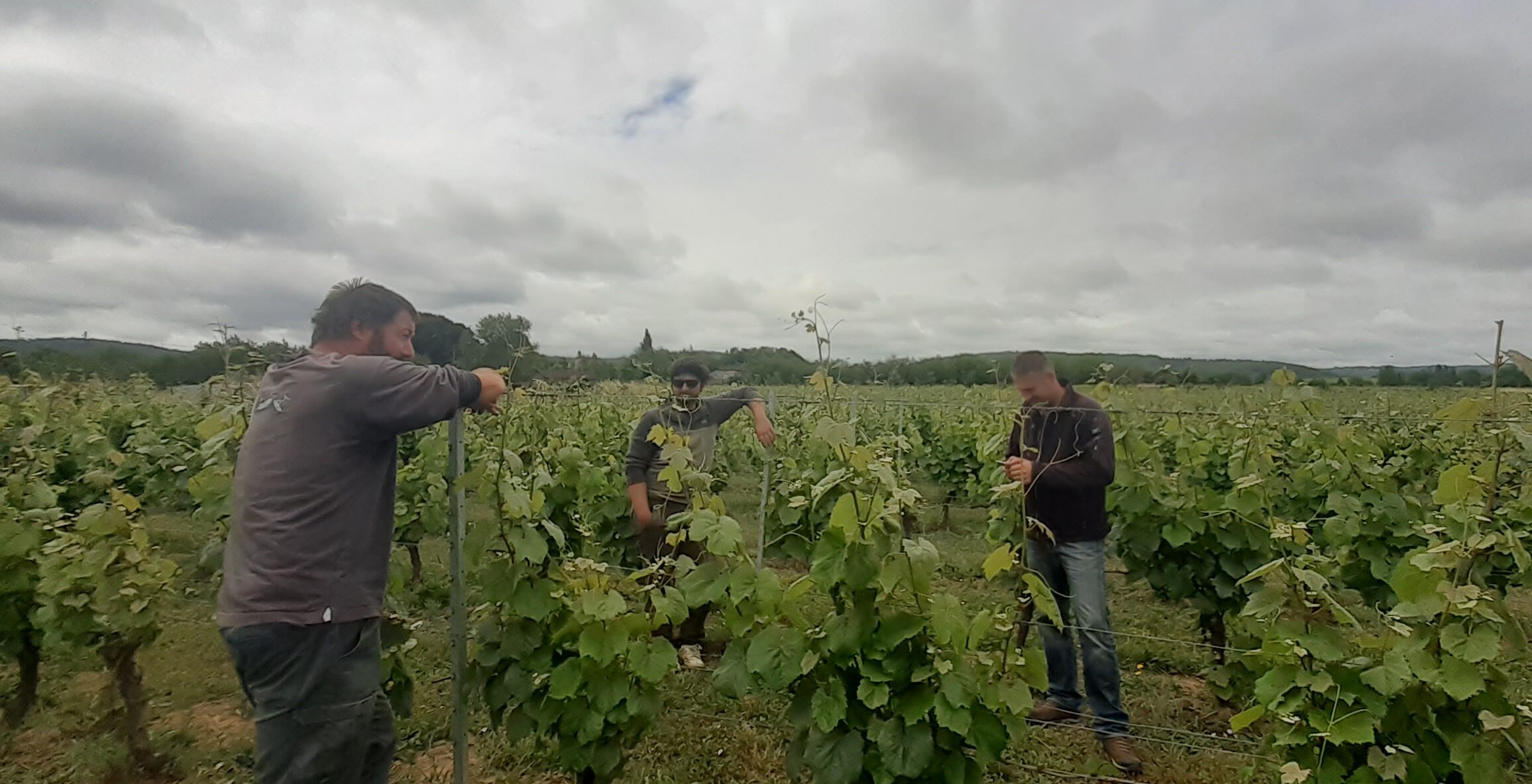 Viticulture biologique : Rencontre Bout de Champs Viticulture à Parnac