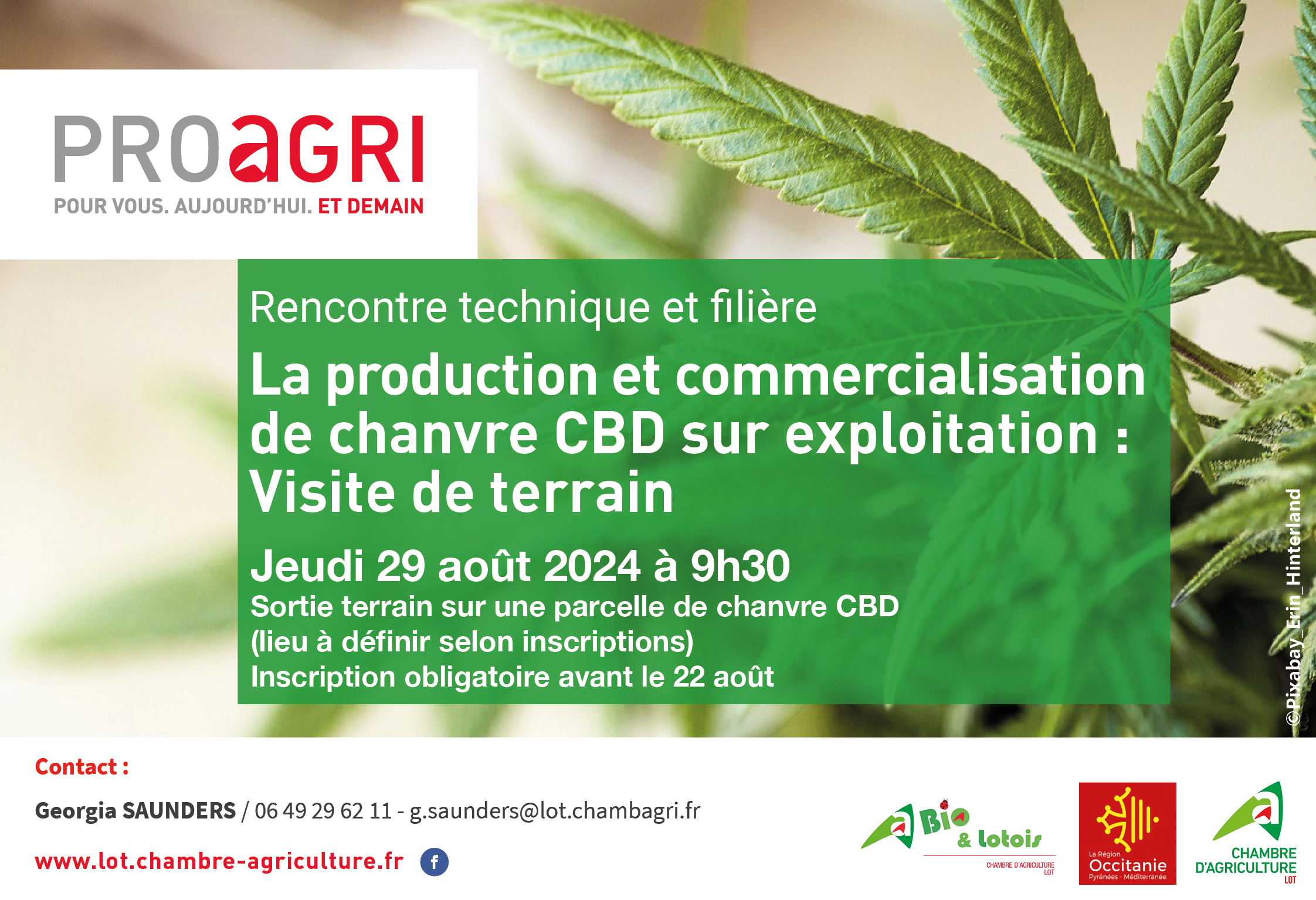 Rencontre technique | La production et commercialisation de chanvre CBD sur exploitation : Visite de terrain