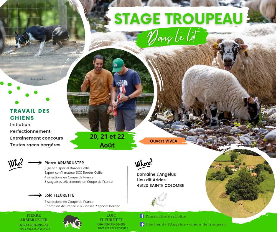 Lot – Sainte-Colombe : Stage troupeau les 20, 21 et 22 août