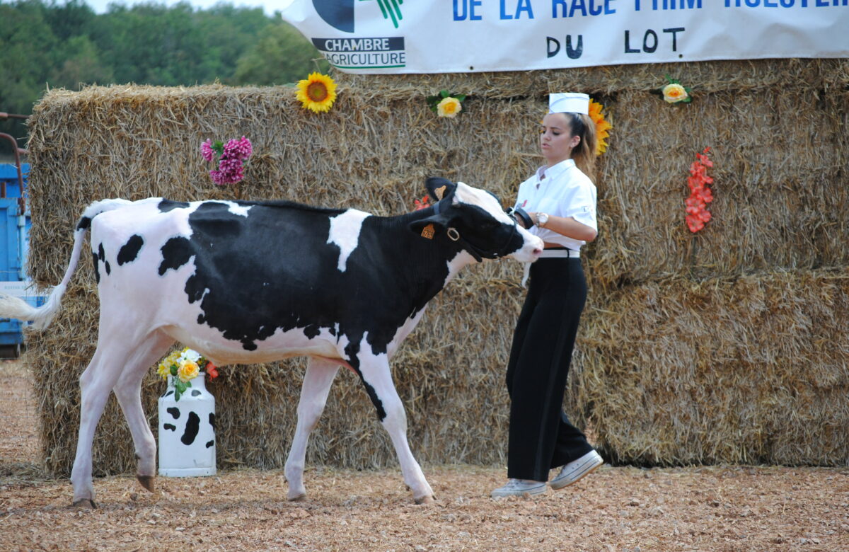 Installation d’une jeune fille motivée : Mélaine Delpech, la passion de l’élevage