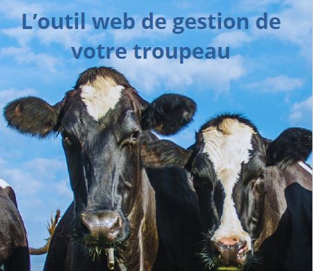 Conseil élevage Bovin Lait – Mil’Klic connecté  Un outil qui permet de gagner en réactivité pour gérer son troupeau laitier