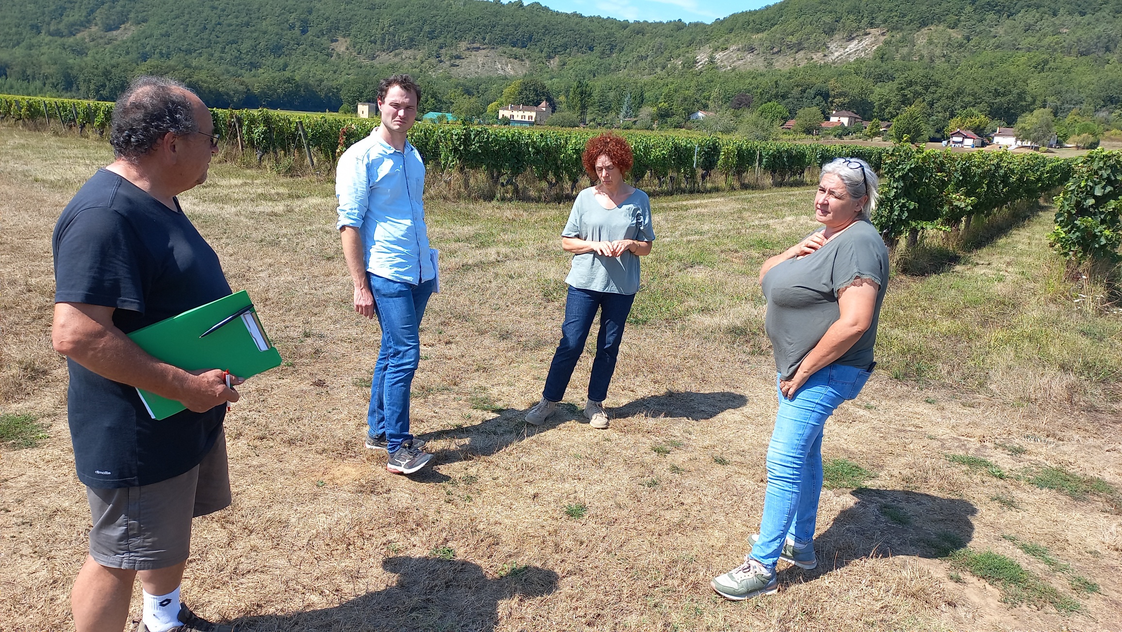 Sinistre gel de printemps sur vignes : Des pertes catastrophiques confirmées !