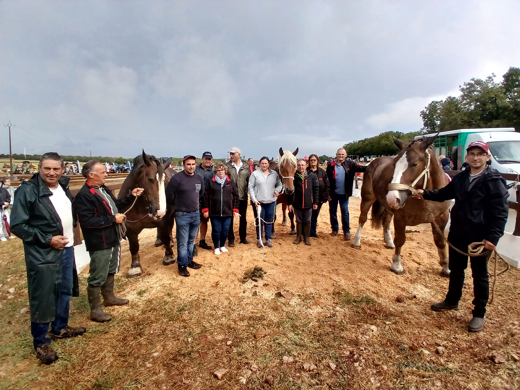 Terre En fête : Concours chevaux lourds