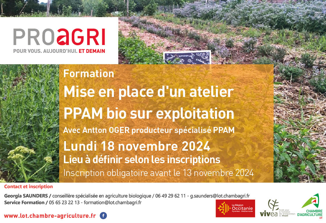 Mise en place d’un atelier PPAM bio sur exploitation et séchage des plantes médicinales sur exploitation