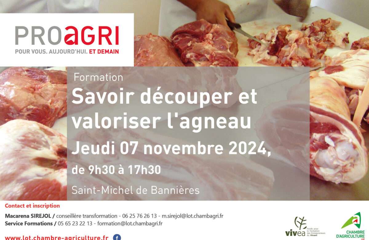 Savoir découper et valoriser l’agneau le 7 novembre à Saint-Michel de Bannières