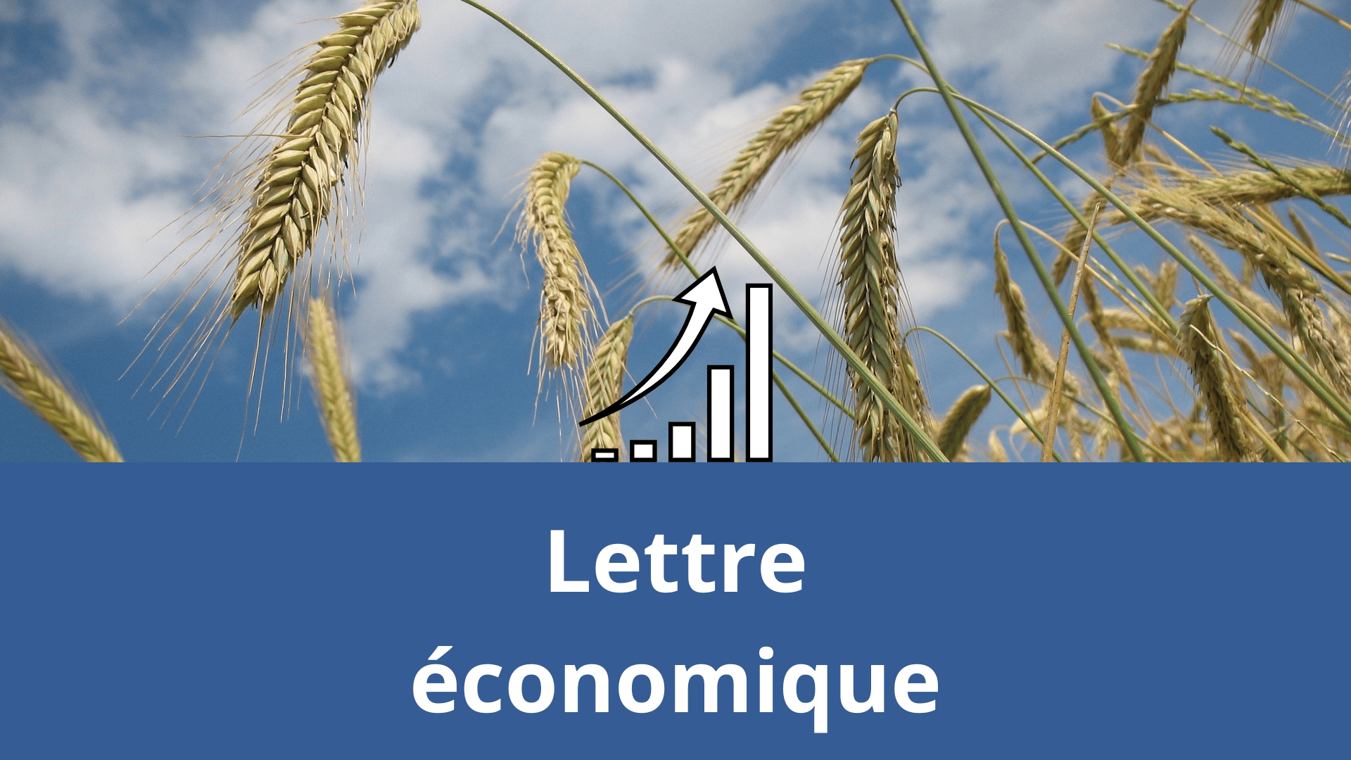 Lettre économique des Chambres d’agriculture : chocs et incertitudes de rentrée