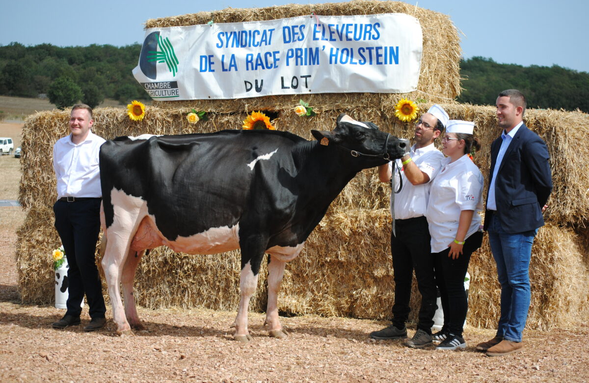 Les Éleveurs du Lot Brillent au Concours Prim’Holstein du Sommet de l’Élevage 2024