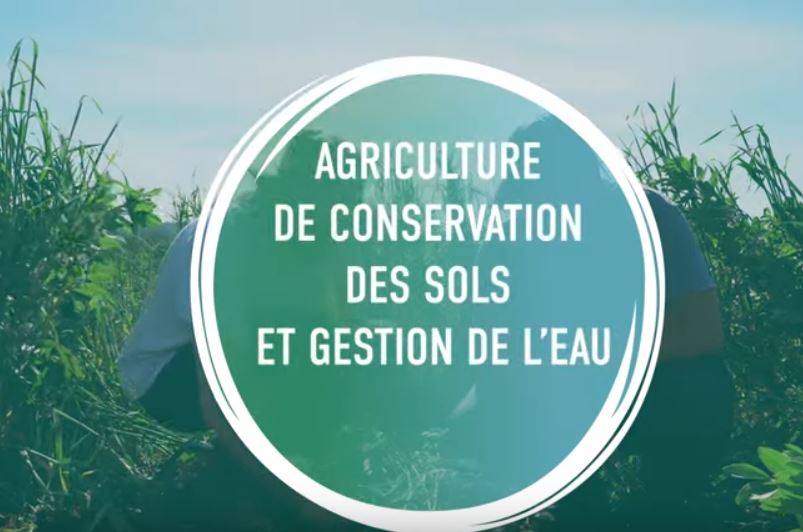 L’agriculture de conservation des sols au GAEC DE RINGUETTE,