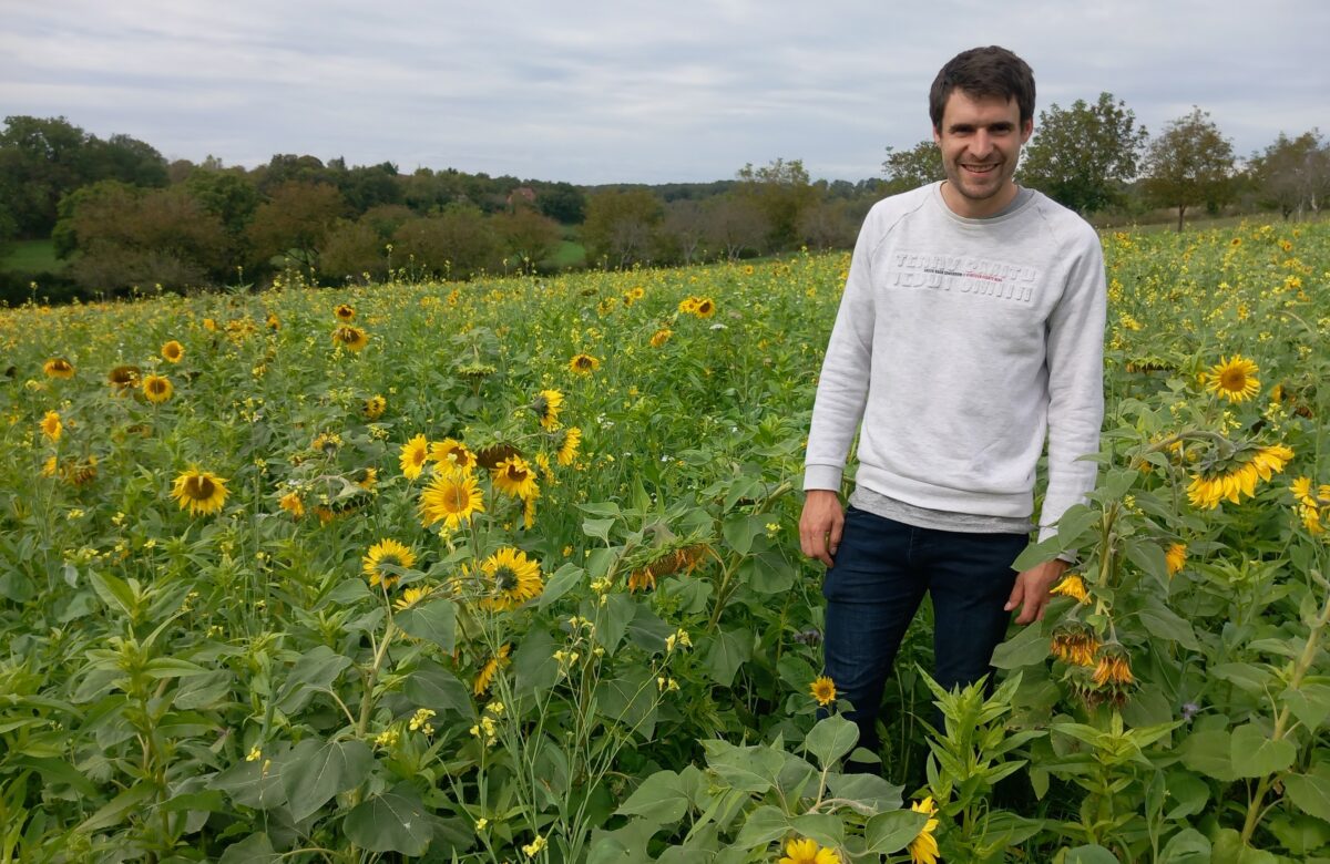 Du switchgrass et des couverts ! Pour réduire le travail du sol et être plus autonome en paille