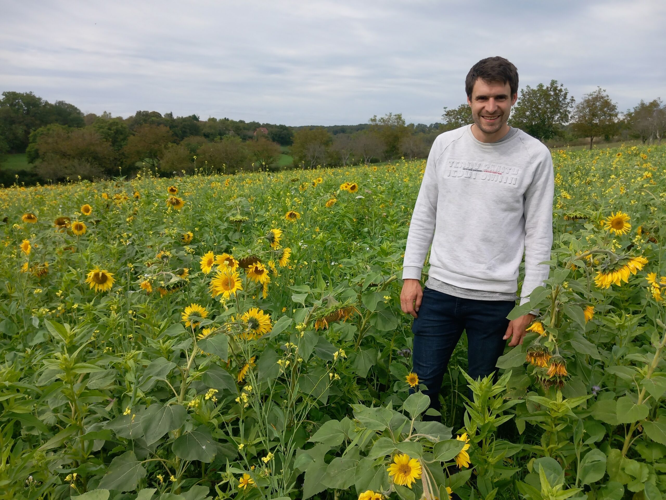 Du switchgrass et des couverts ! Pour réduire le travail du sol et être plus autonome en paille