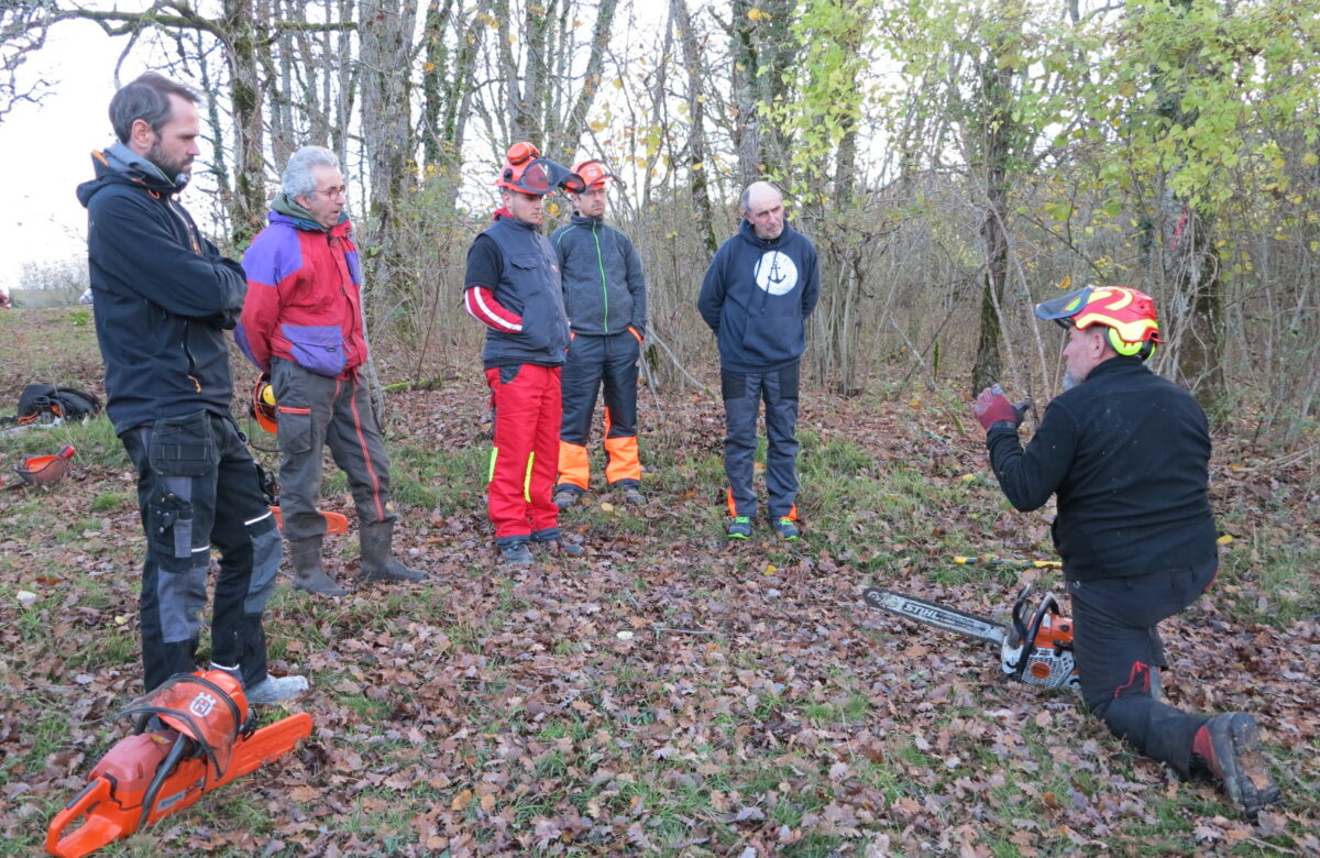 Une formation au bûcheronnage très instructive