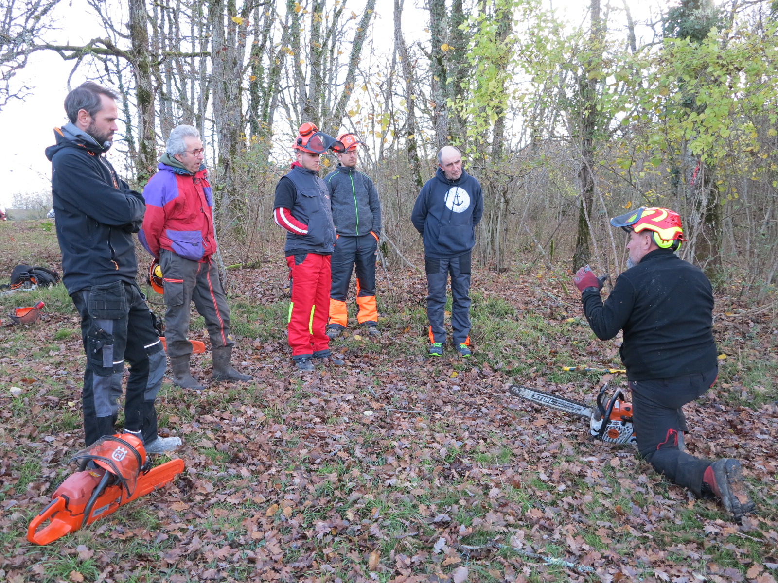 Une formation au bûcheronnage très instructive