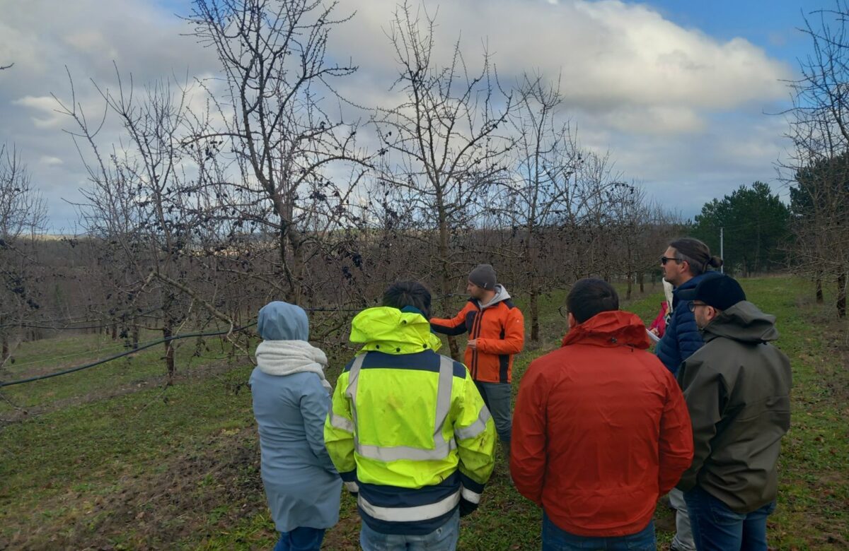 Retour sur une journée de formation autour de l’amande organisée par la Chambre d’agriculture du Lot